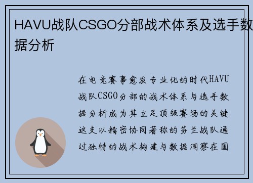 HAVU战队CSGO分部战术体系及选手数据分析